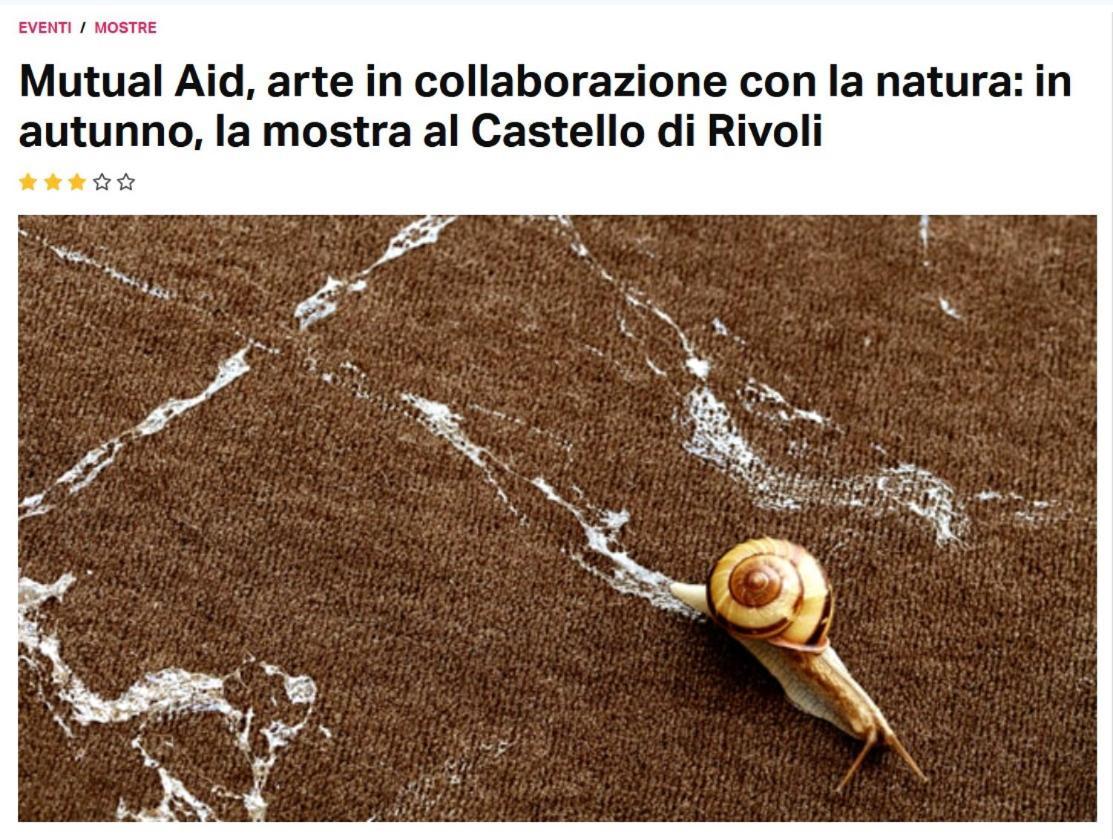 Apartamento La Casa Di Silvio Ai Giardini Reali Turín Exterior foto